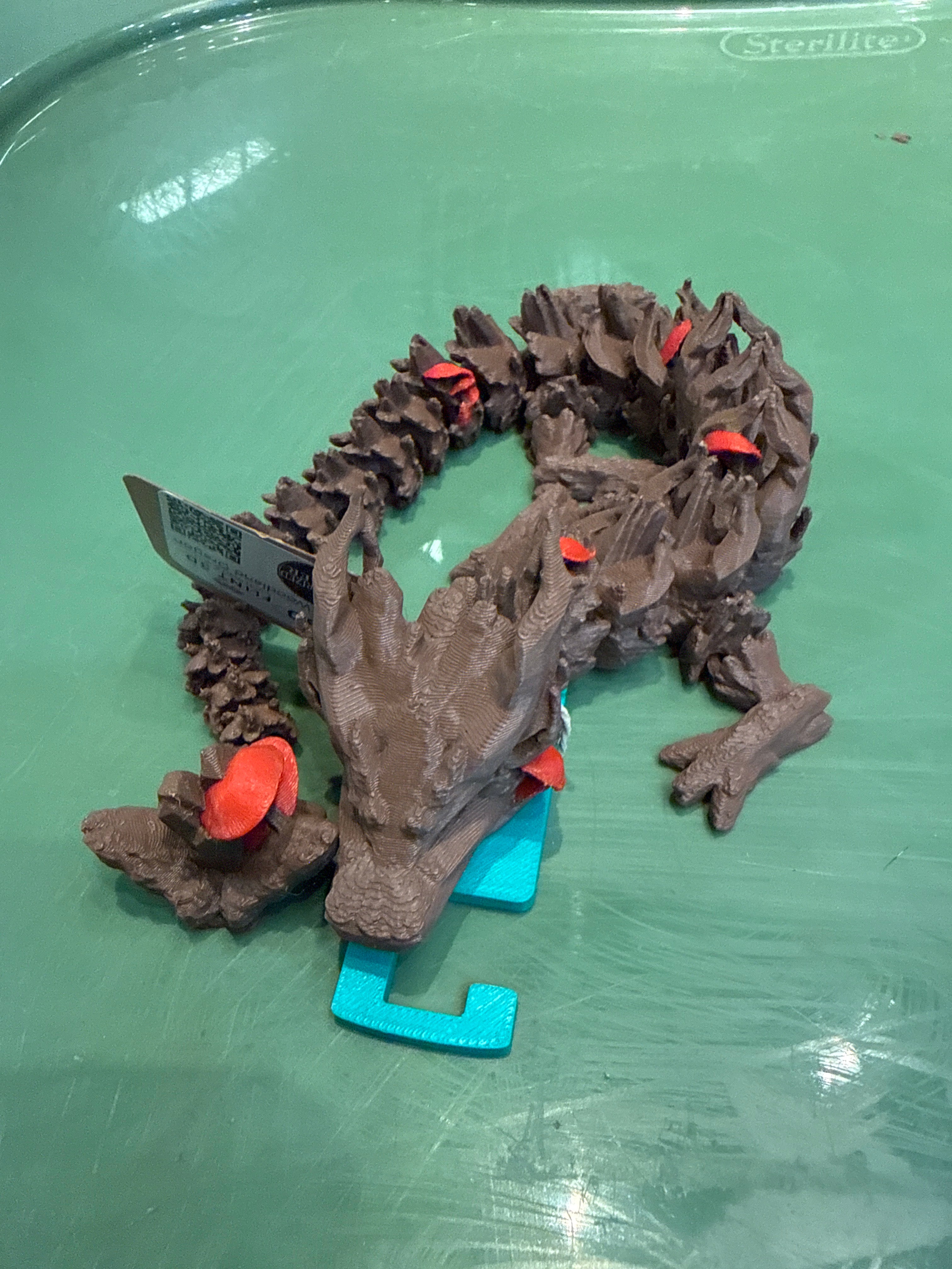 Teen Woodland Dragon
