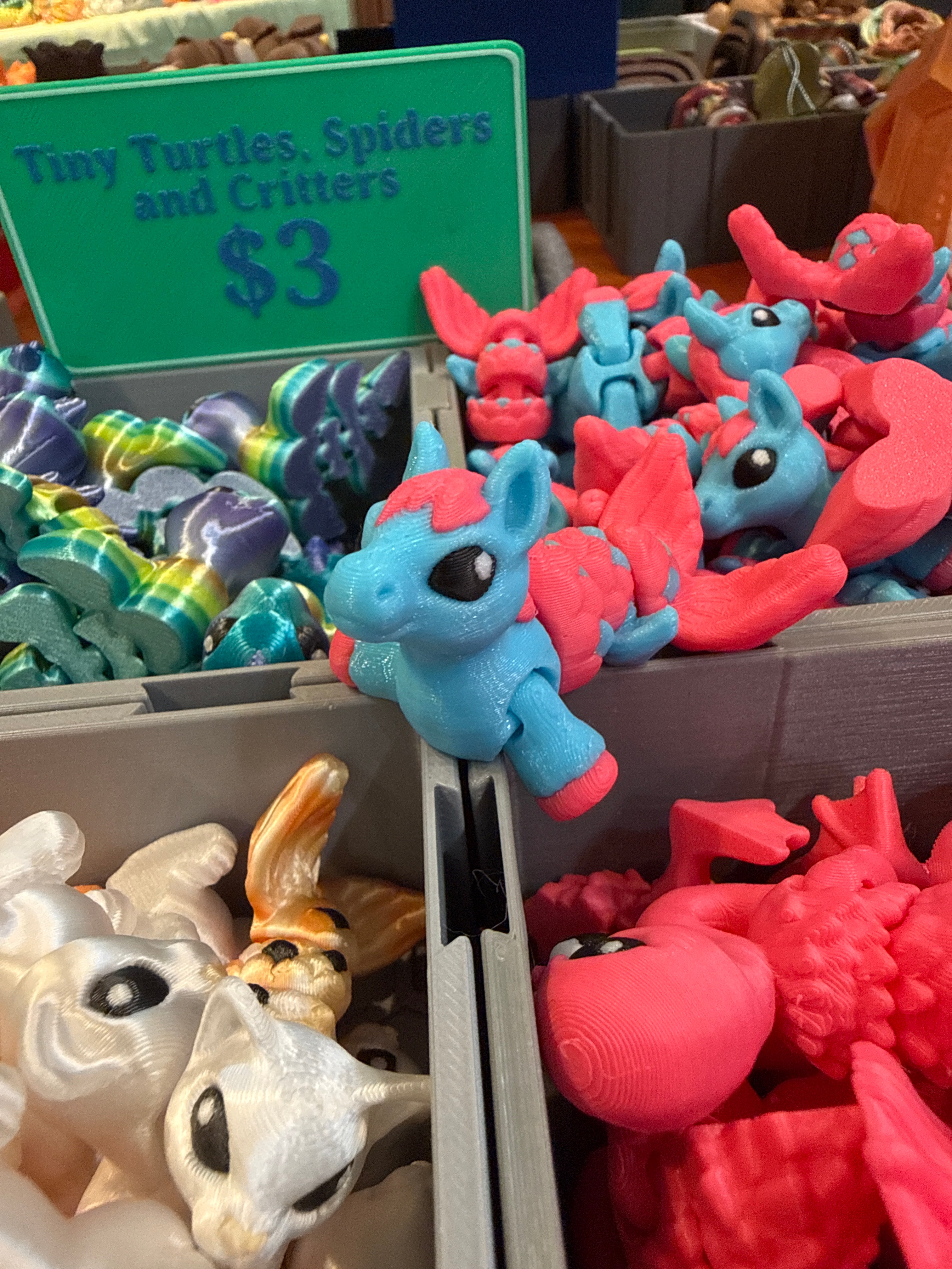 Hippocampus Hatchling