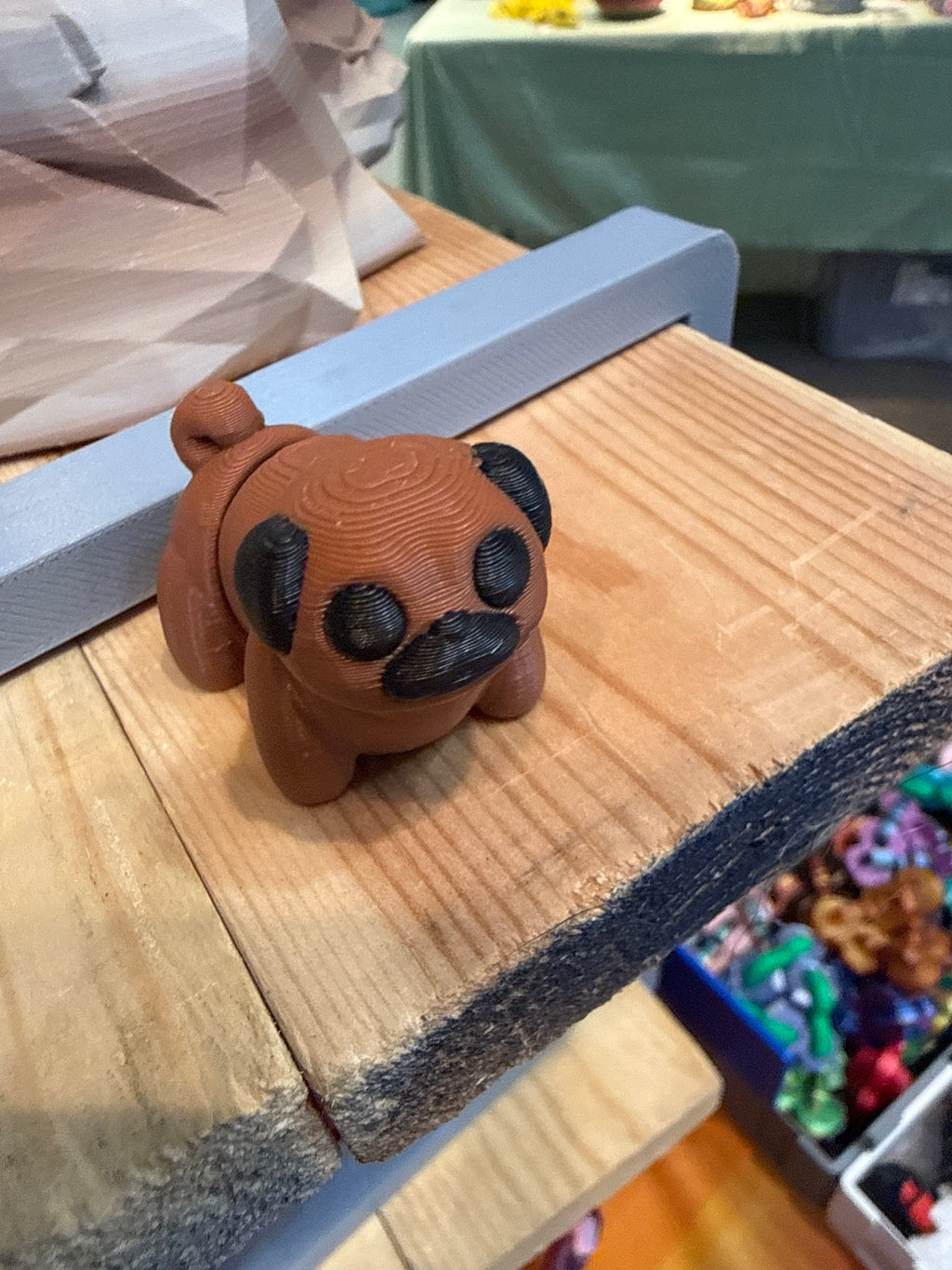 Pug Hatchling