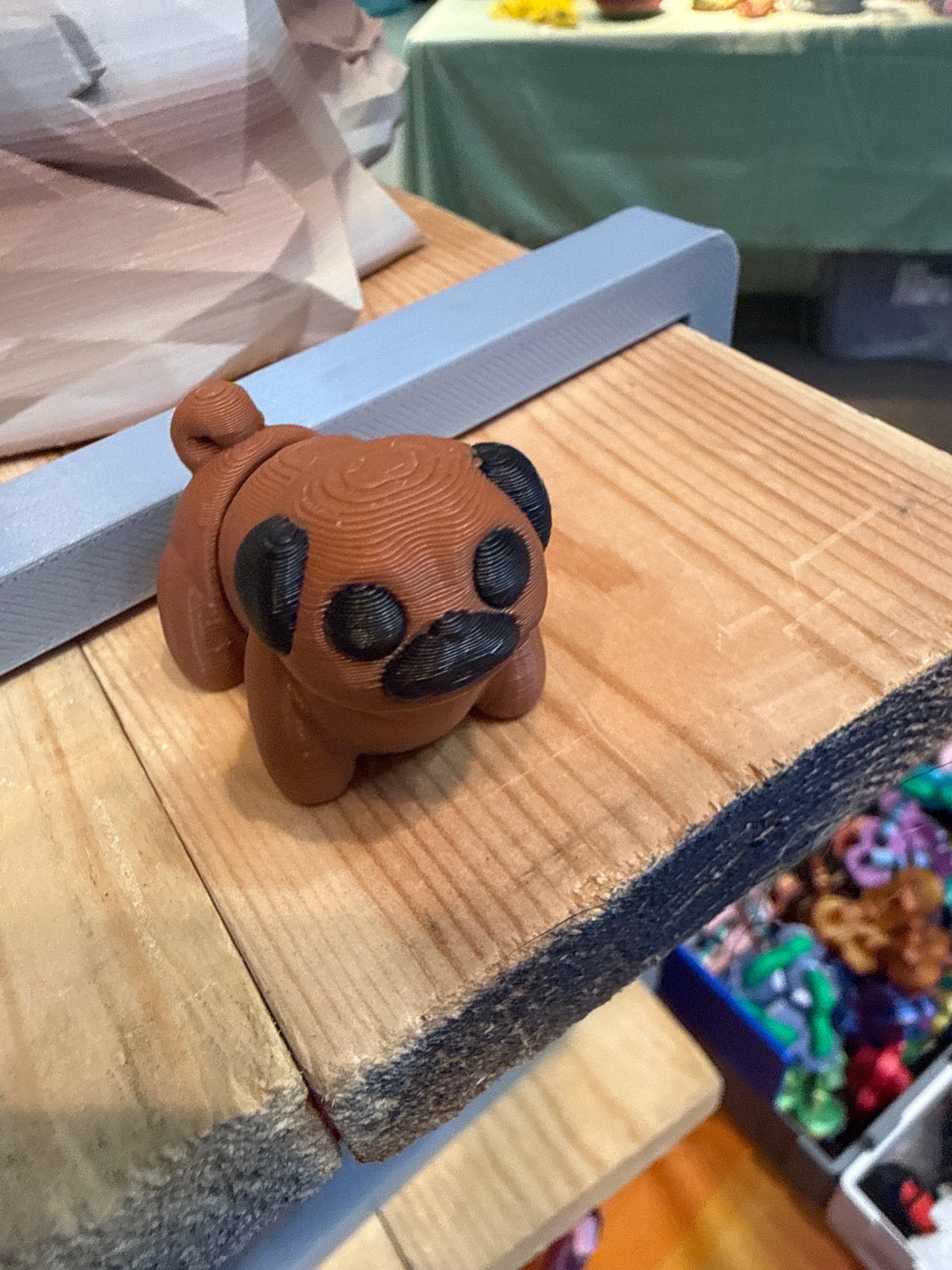 Pug Hatchling