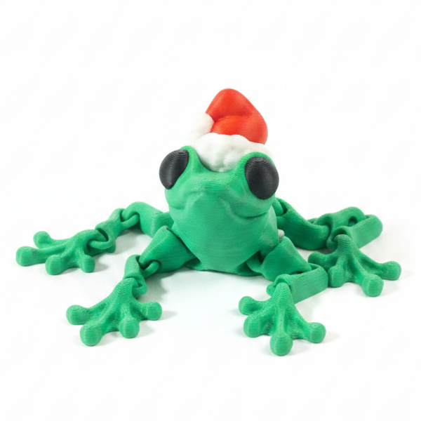 Santa Frog
