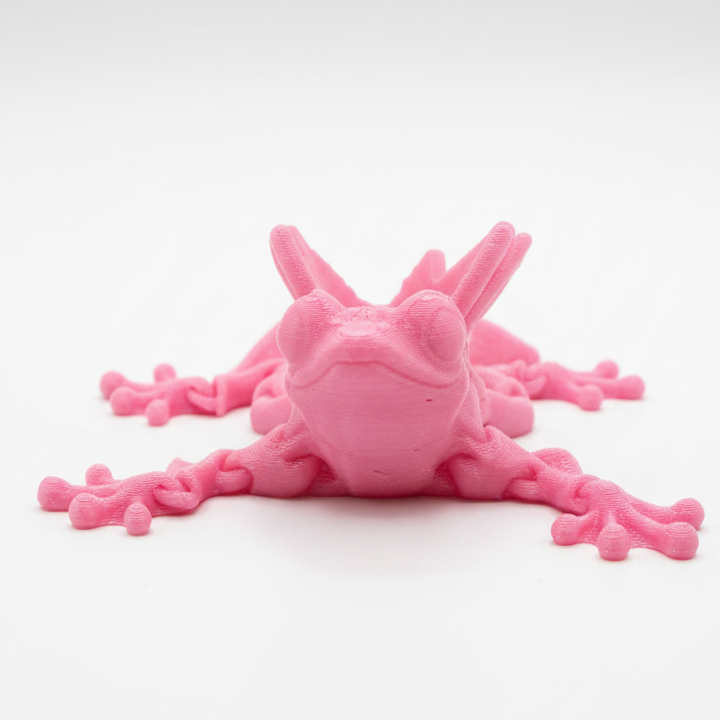 Flutter Frog