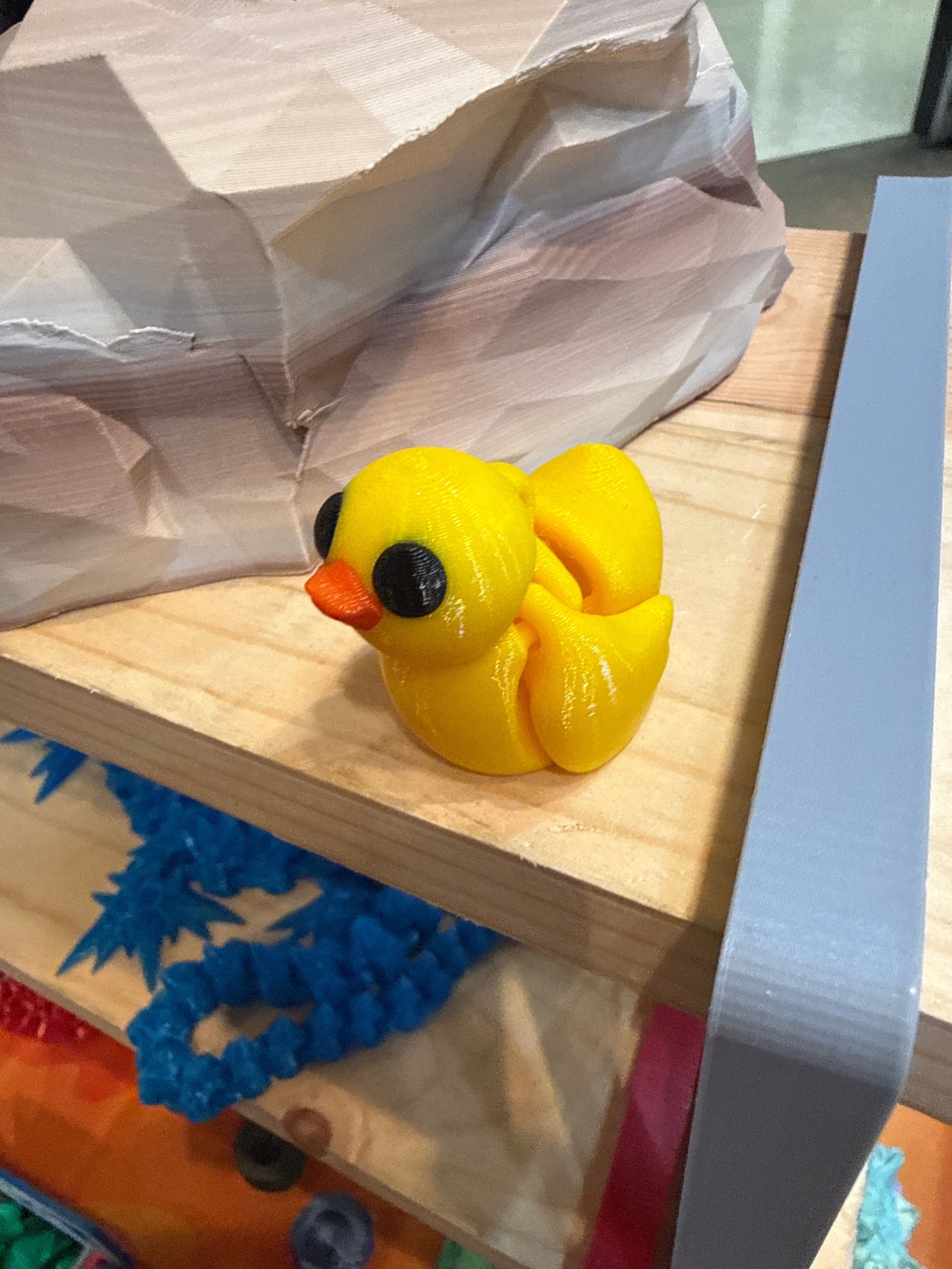 Duck Hatchling