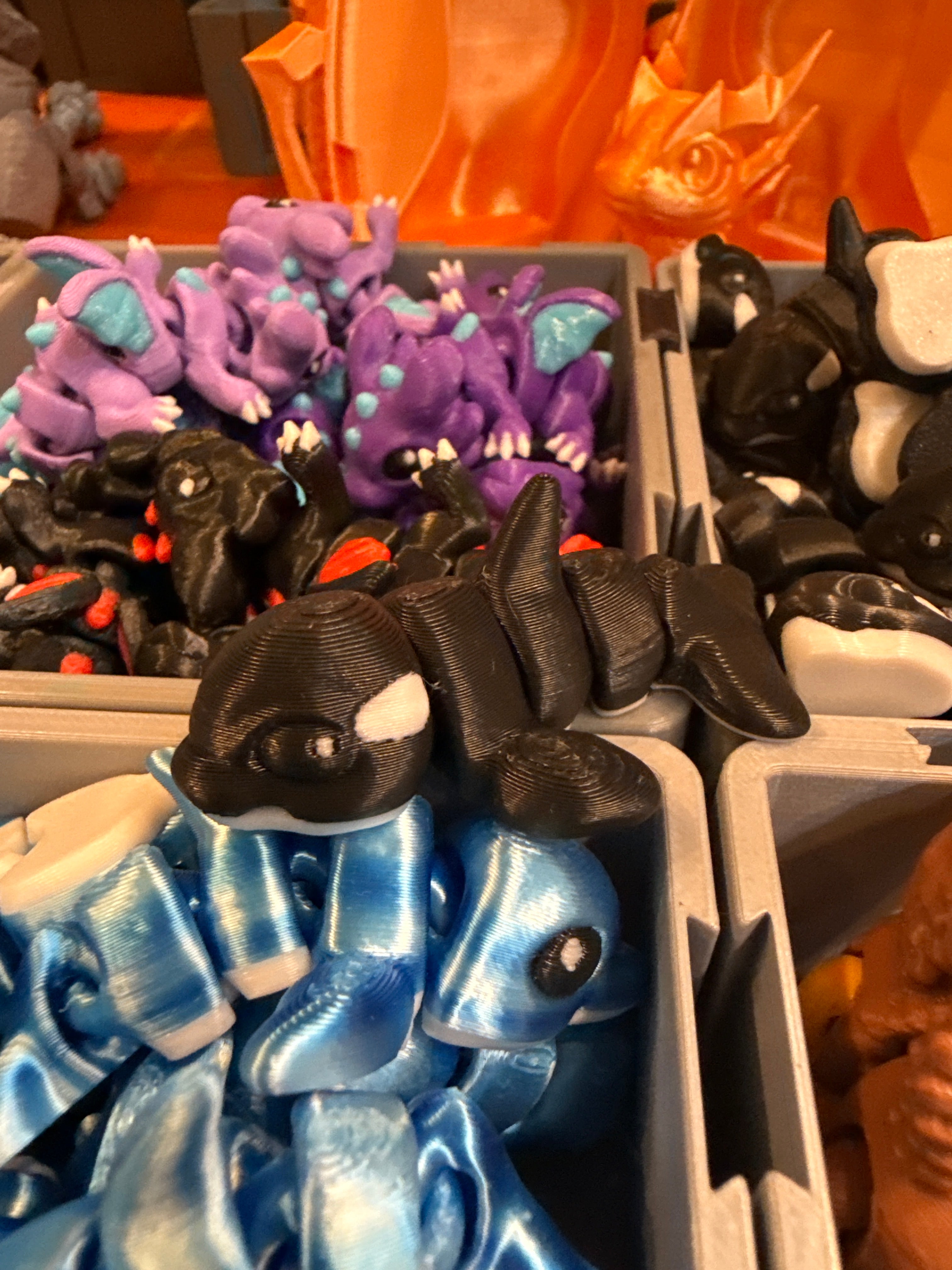 Orca Hatchling
