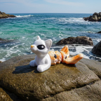 Purrmaid Hatchling